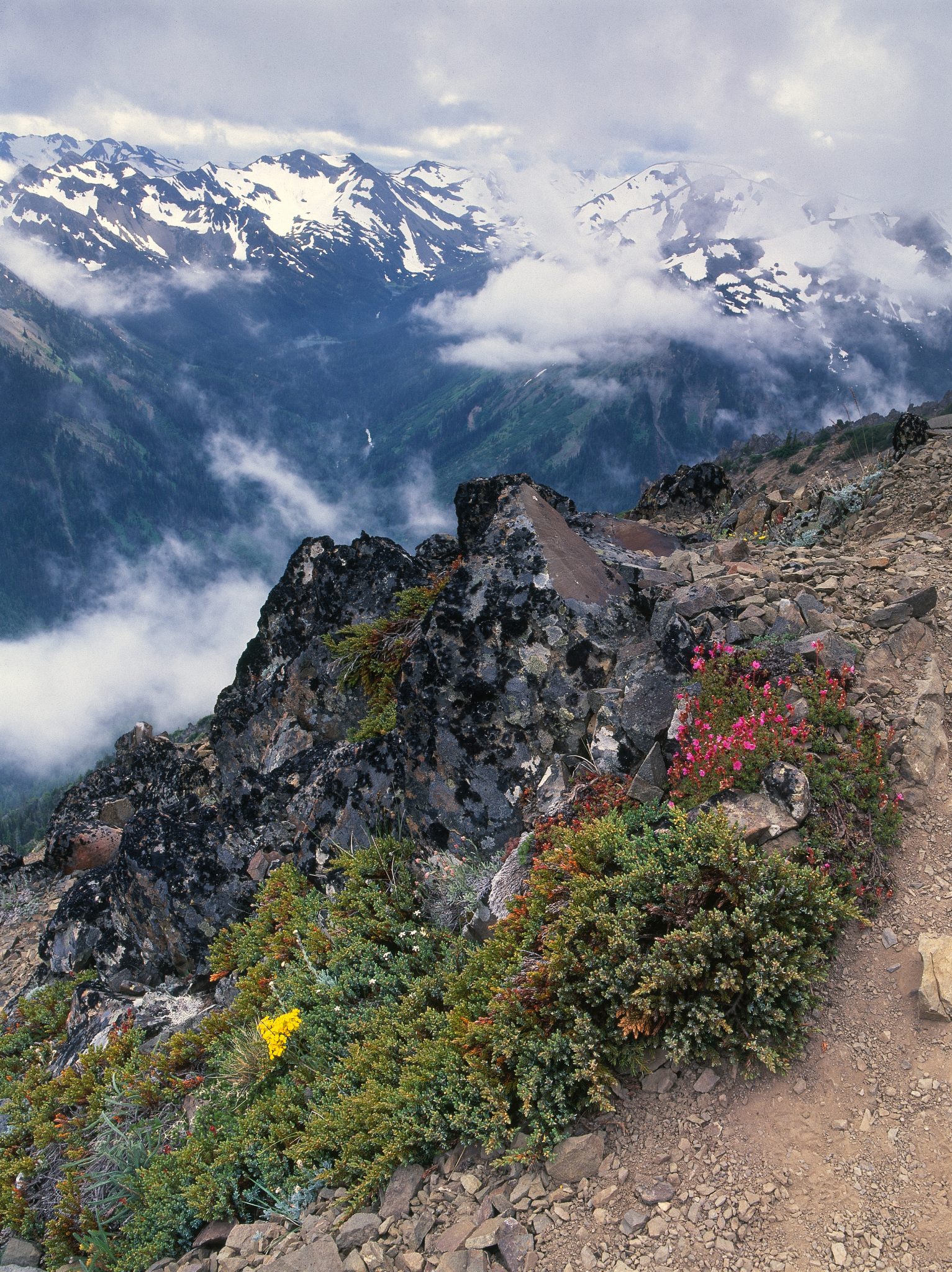 Best Day Hikes In Olympic National Park Wildland Trekking