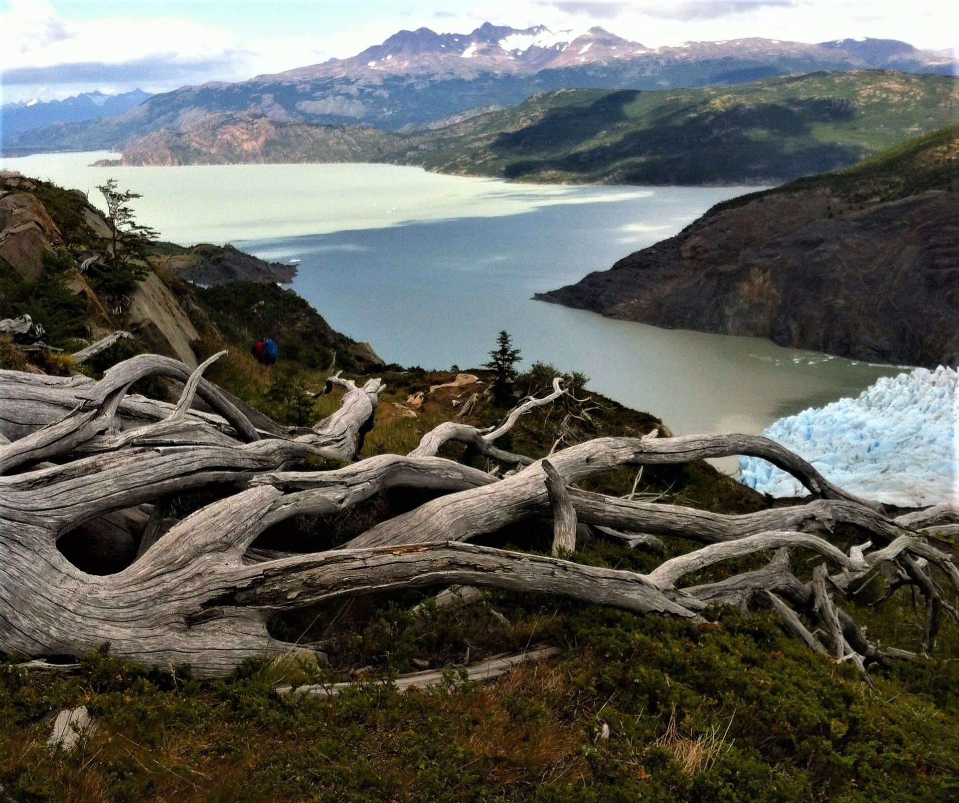 All about The Torres del Paine W-Trek in Patagonia