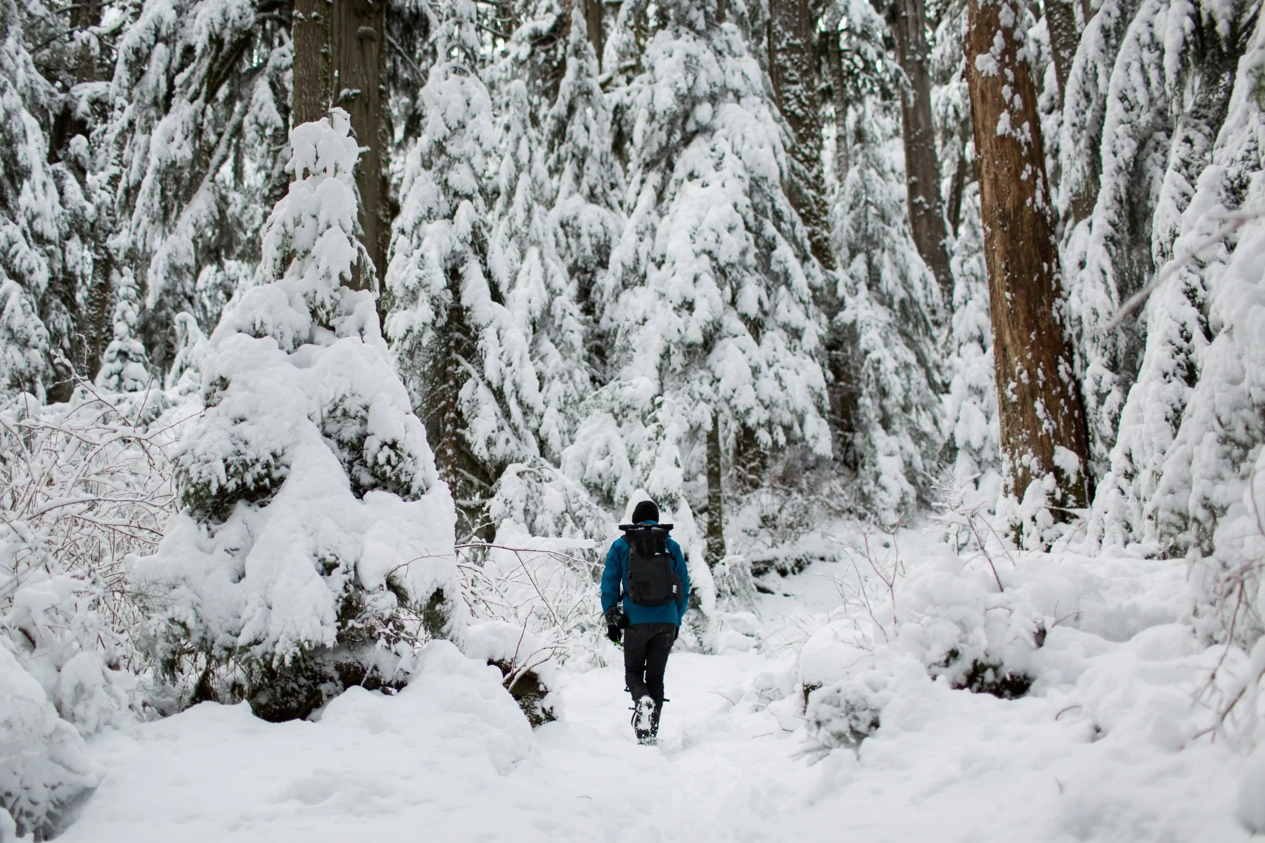 How to Winter Hike - Wildland Trekking