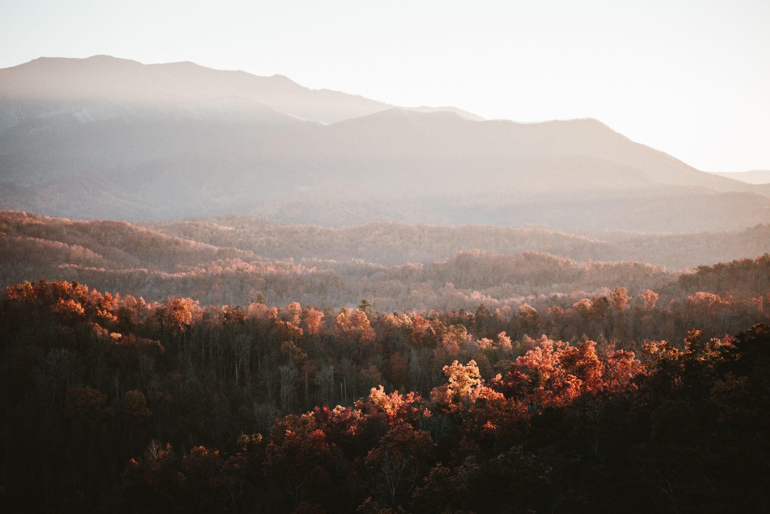 Best backpacking on shop the east coast