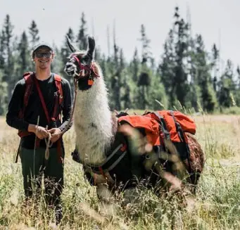 3 day backpacking trip vermont