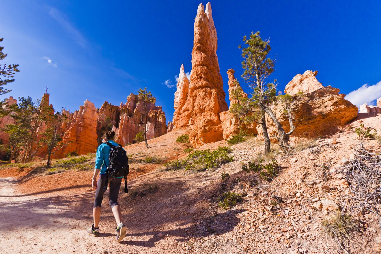 All About the Hoodoos in Bryce Canyon National Park