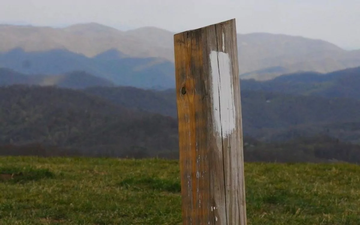 houten paal met uitzicht op landschap