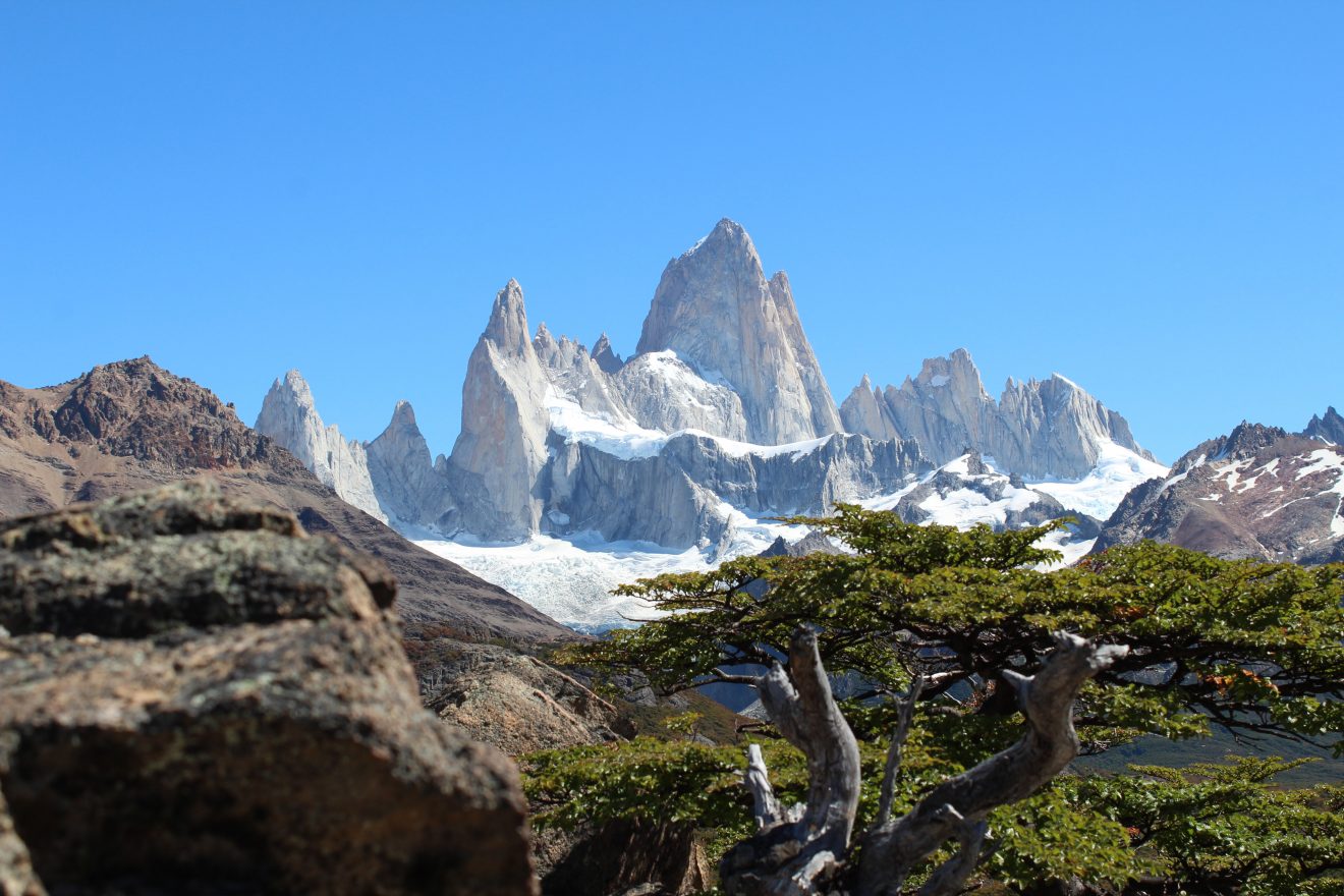 Fitz Roy peeps through some trees on a hike in Patagonia