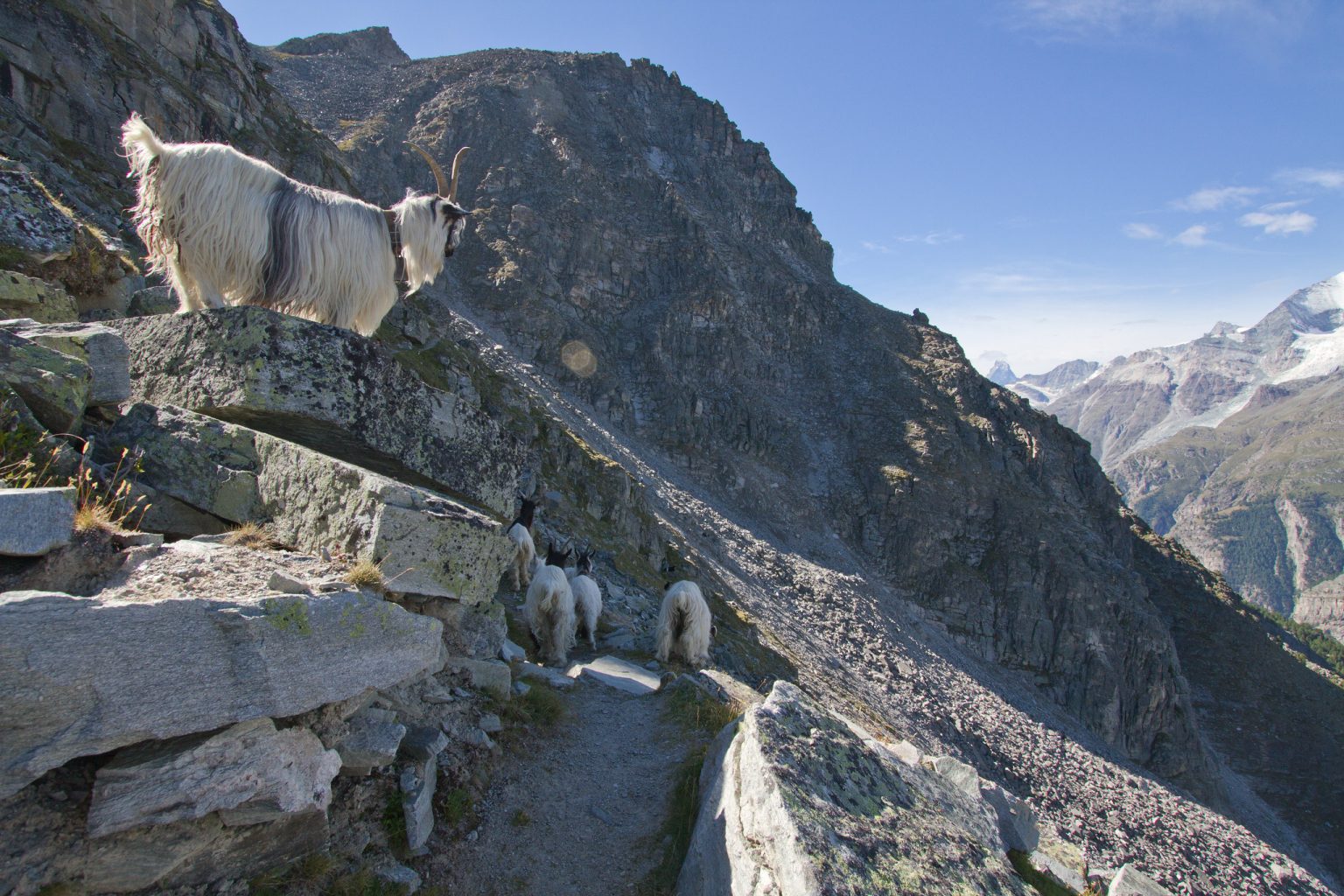 25 Best Backpacking Trips in the World Wildland Trekking Blog