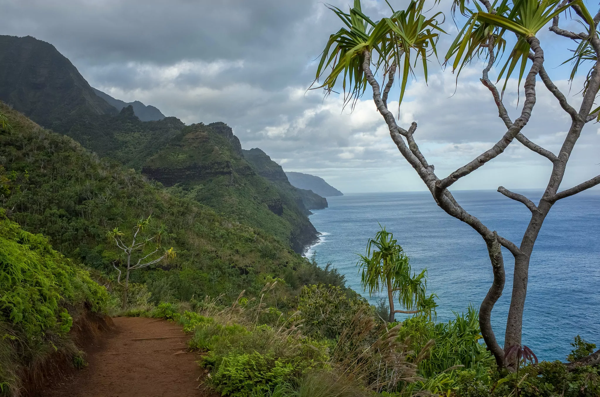 Na Pali Coast Hiking Trail