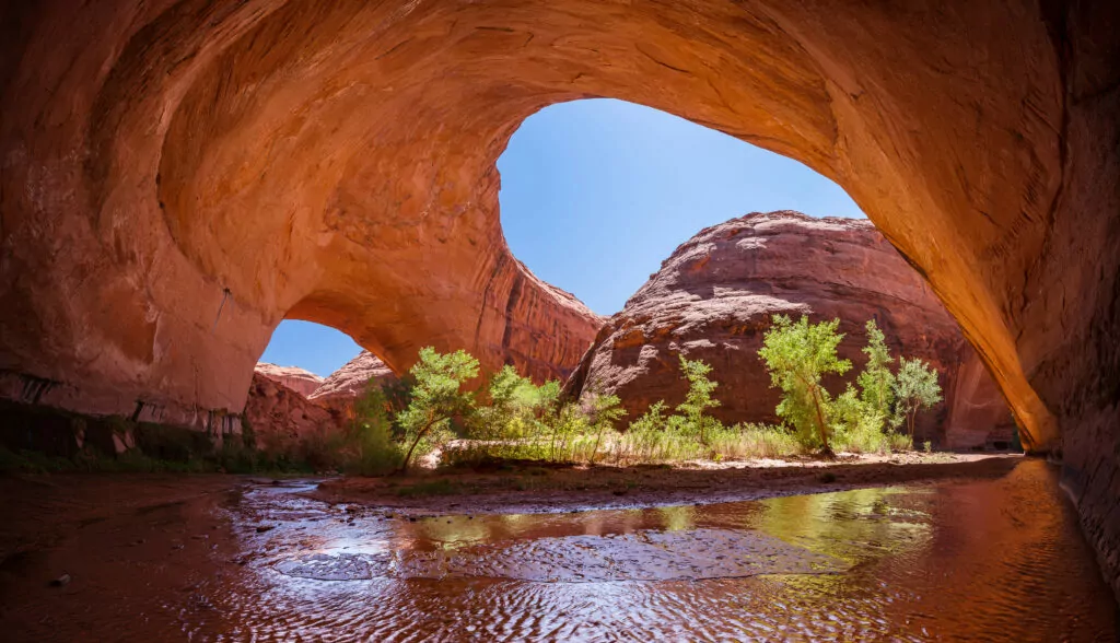 Coyote Gulch