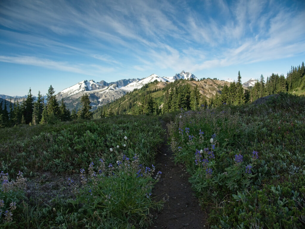 hiking backpacking trips