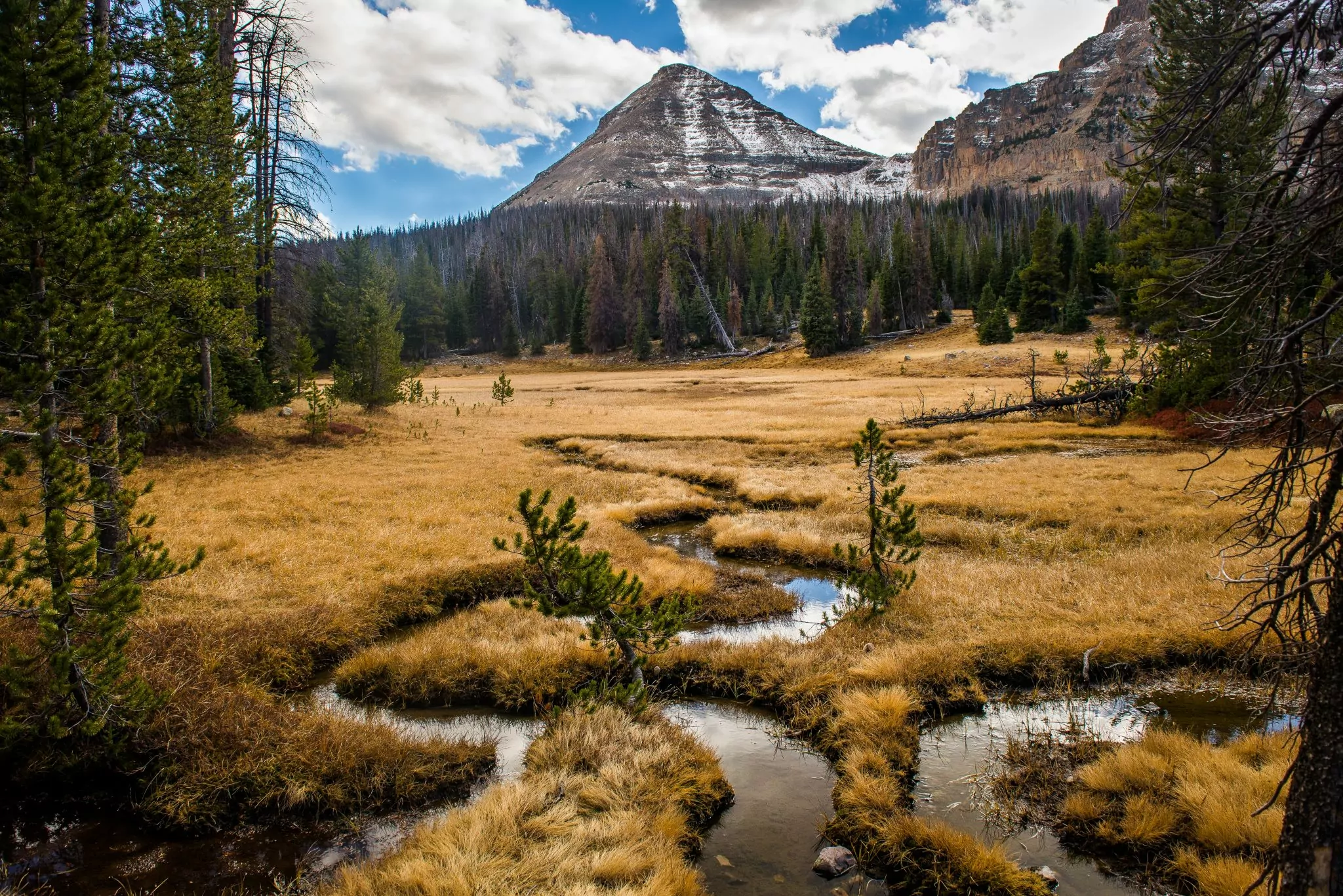 5 Best Utah Backpacking Trips Wildland Trekking Blog