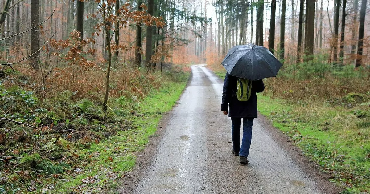 An umbrella to keep your backpack dry is just the thing we need