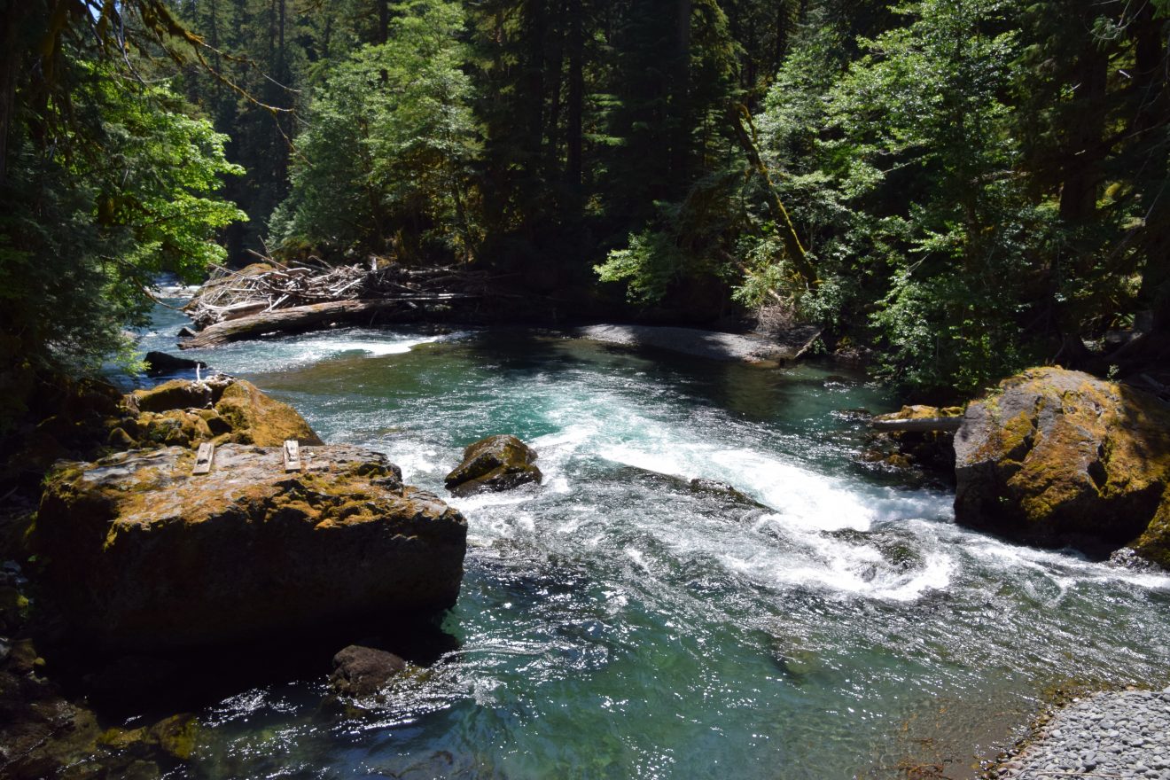Best Day Hikes In Olympic National Park Wildland Trekking