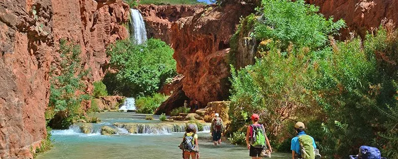 havasu falls hiking tours