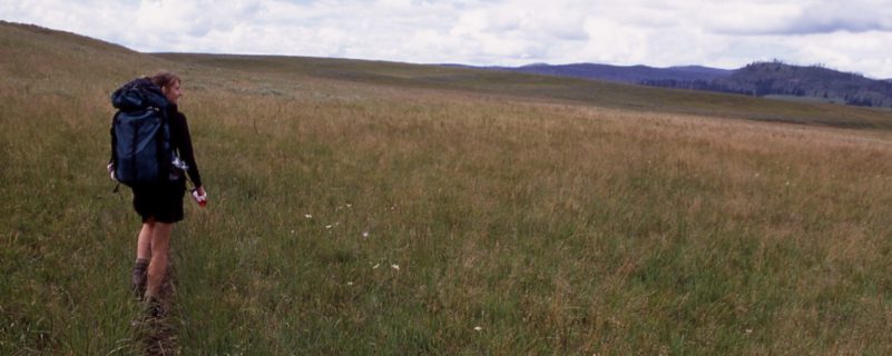 Backpacker yellowstone field