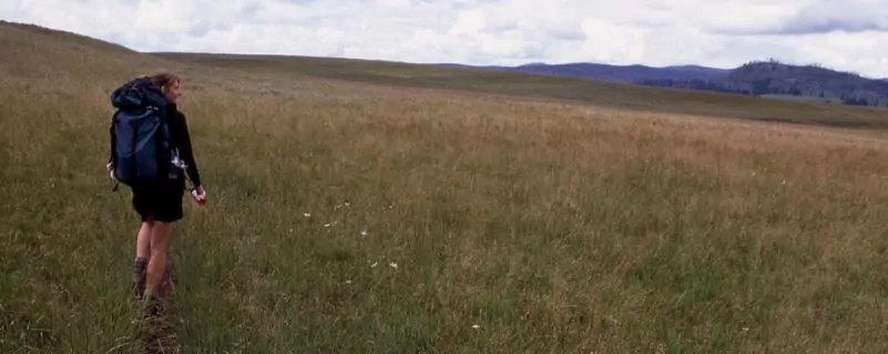 Backpacker yellowstone field