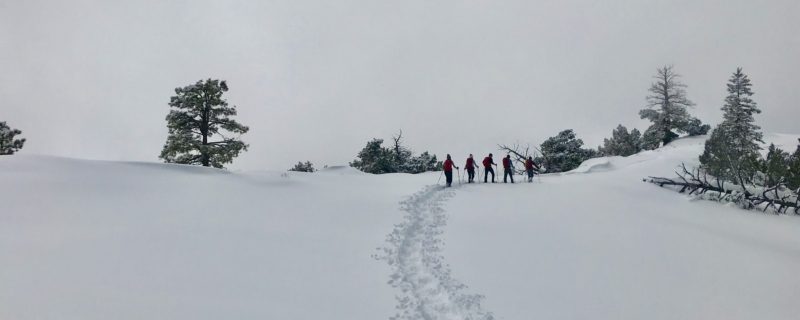 Bryce snow hike