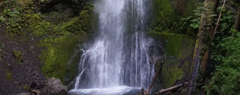 Lake Crescent Waterfall
