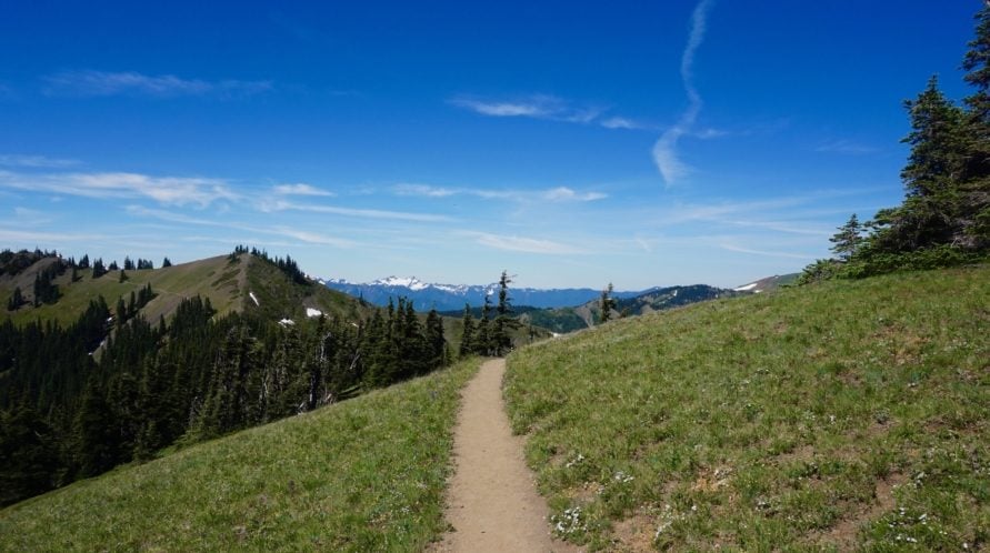 Hurricane ridge best outlet hikes olympic national park