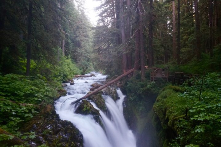 Olympic Sol Duc River Trail Information Hiking Trails Guide