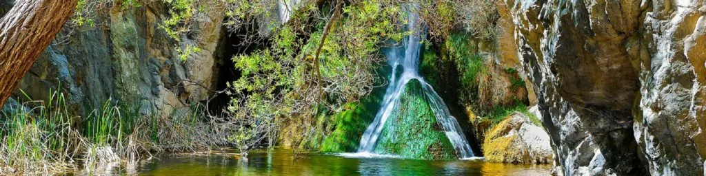 Darwin Falls