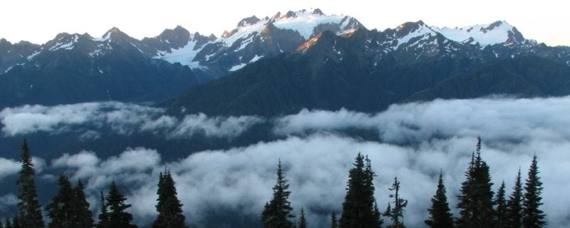 Clouds over forest