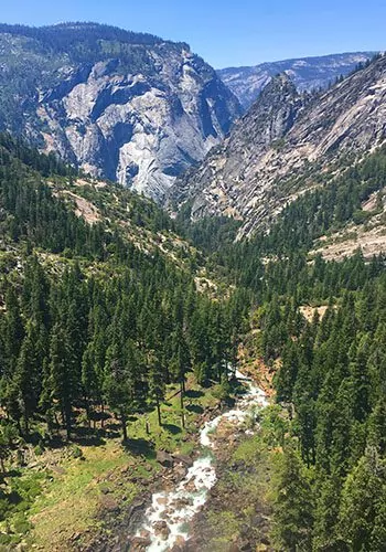 spectacular view of trees and mountains from above