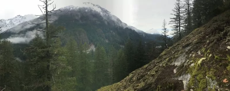 Cloudy mountain and forest