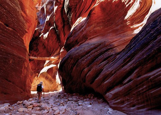 Paria Canyon red rocks with hikers