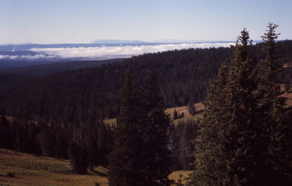 Mount washburn hotsell trail yellowstone