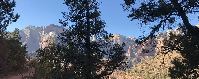 Watchman Trail