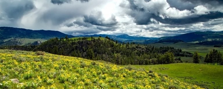 Yellowstone National Park Mt Washburn Trail | Wildland Trails Guide
