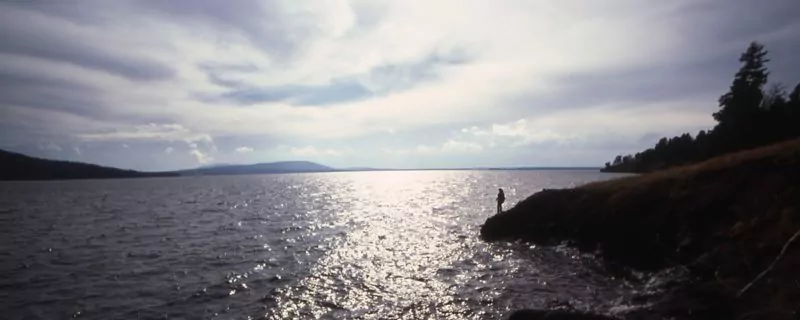 Hiker overlooking yellowstone lake