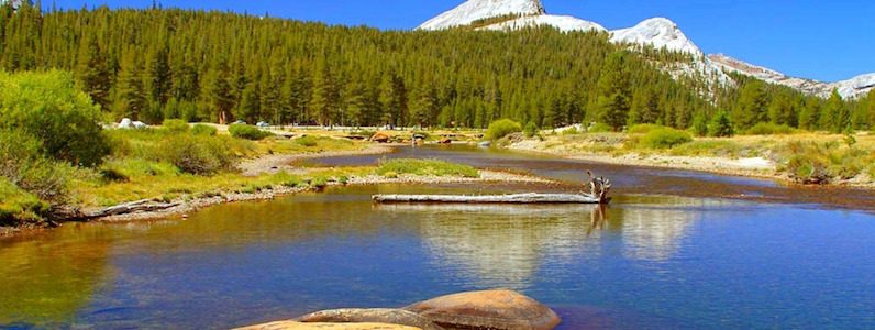 Yosemite Tuolumne River Canyon