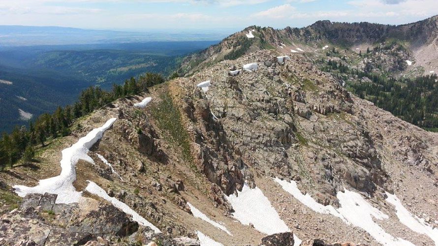 Badger Creek Tetons Llama Trip | Wildland Llama Treks