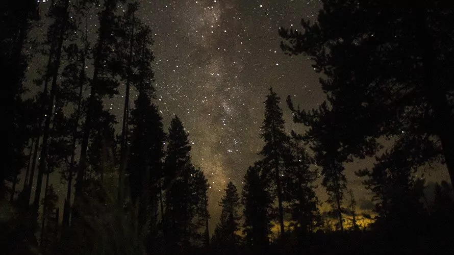 Bechler River Backpacking Trip Yellowstone | Wildland Trekking