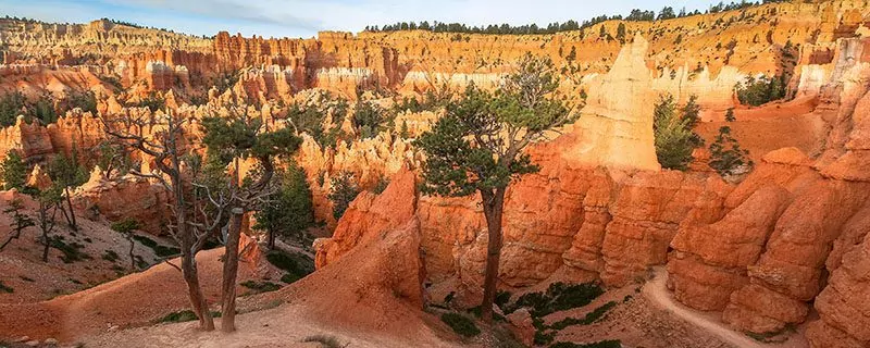 tours bryce canyon zion