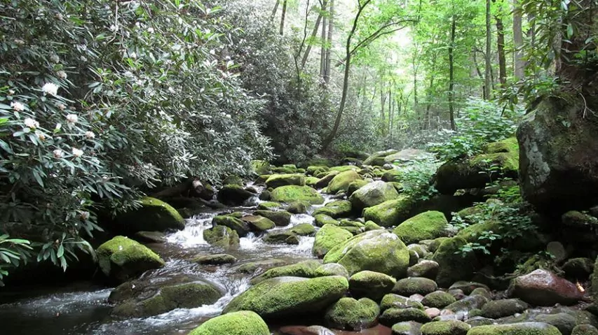 Deep creek trail and water