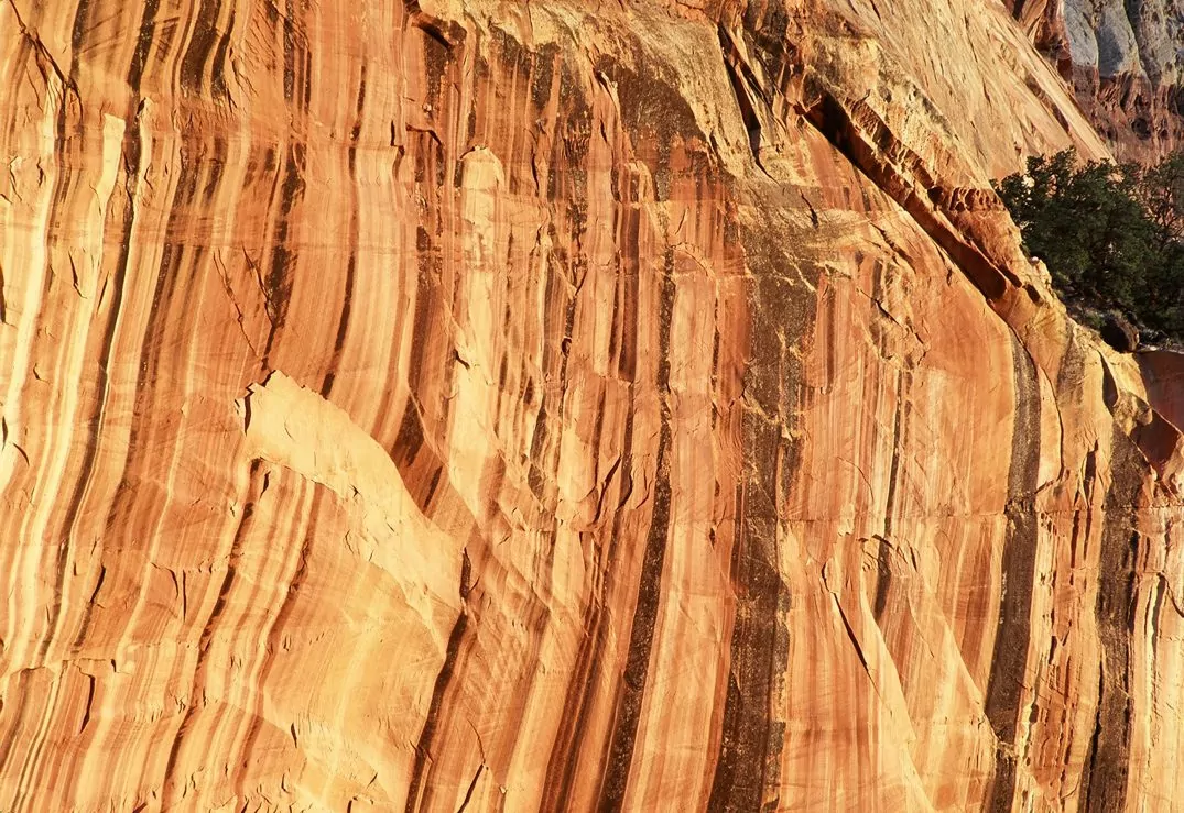 desert varnish capitol reef