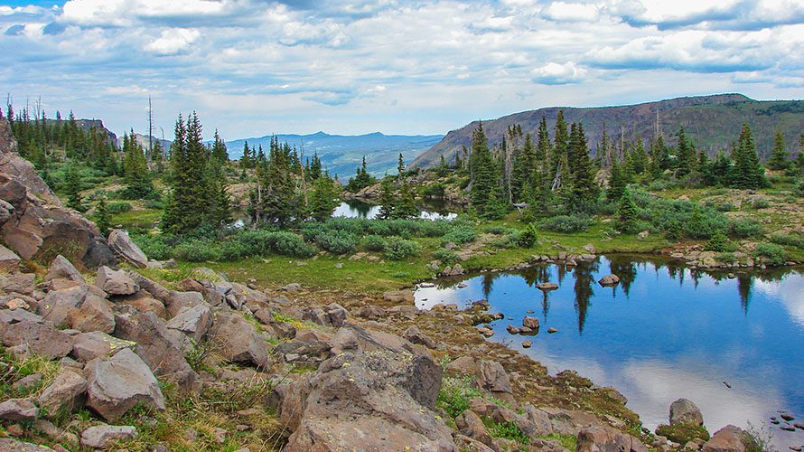 Flat Tops Wilderness Guided Hike Wildland Trekking