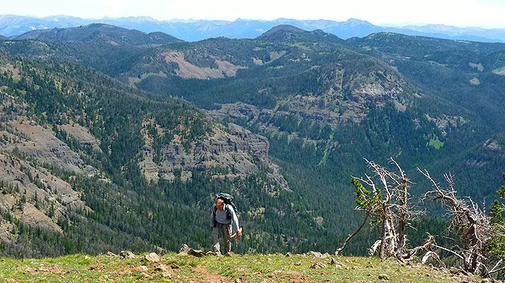 Gallatin Crest Backpacking Tour In Yellowstone Wildland Trekking