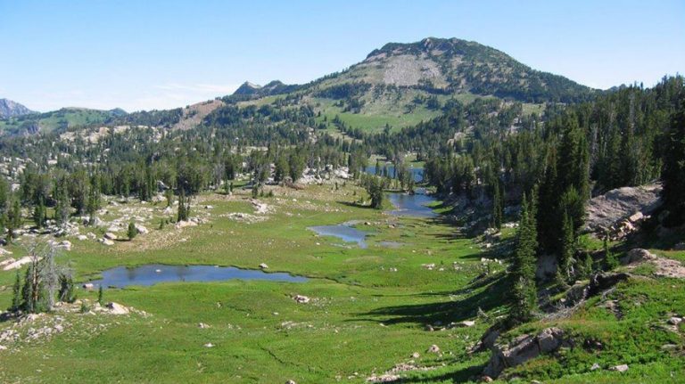 Green Lakes Wyoming Llama Hikes | Wildland Trekking