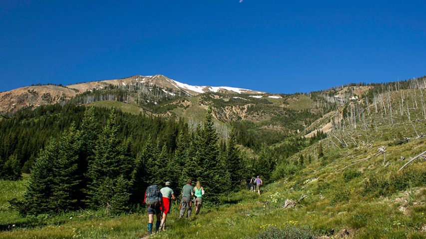 Heart Lake Hike & Mount Sheridan | Wildland Trekking