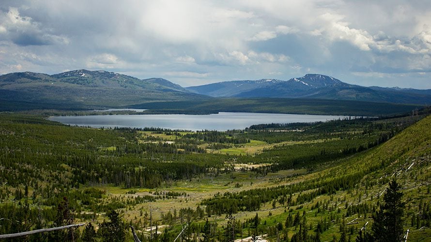 Heart Lake Yellowstone Llama Trek | Wildland Trekking