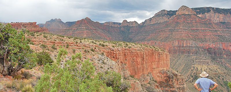 Hiker overlooking grand canyon landscape