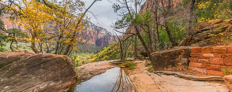 tours bryce canyon zion