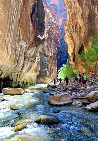 Zion National Park Basecamp Hiking Tour 