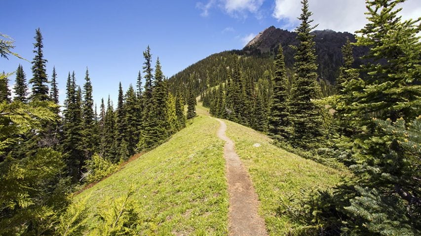 Maiden Peak Day Hike Tour | Wildland Trekking