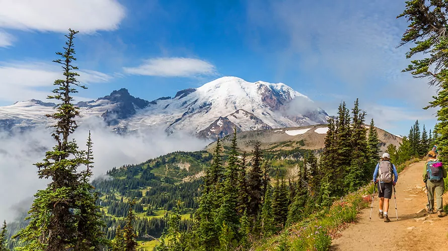 Olympic & Rainier Camping Tour 