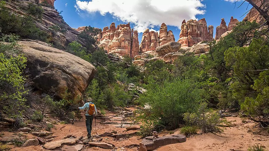 Backpacking canyonlands national park best sale