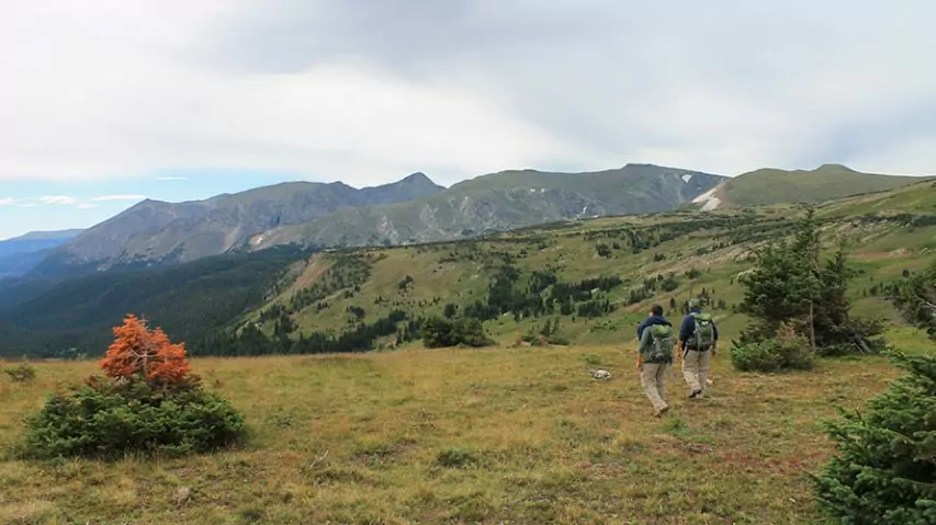 Hikers chiquita