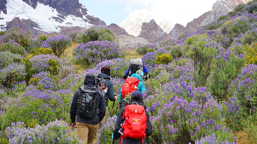 Guided Cordillera Huayhuash Trek Tour | Wildland Trekking